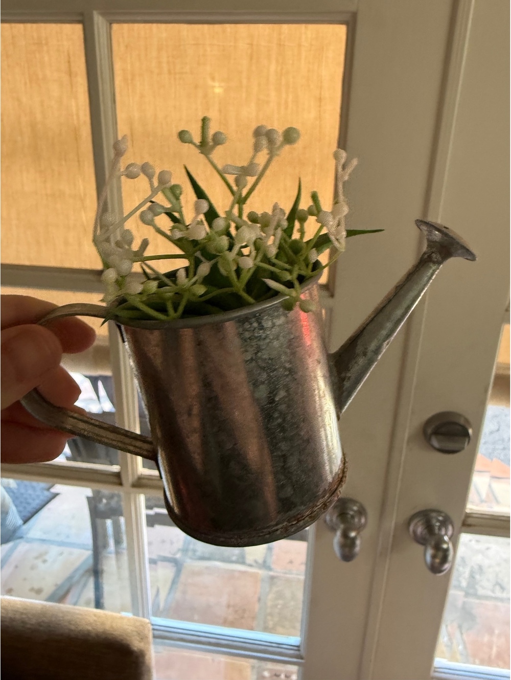 Mini watering metal can pot and small detachable  plant